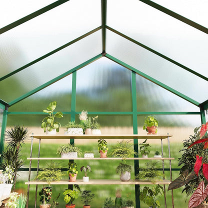 6x10 Ft Polycarbonate Walk-In Greenhouse – Aluminum Frame — product view 7