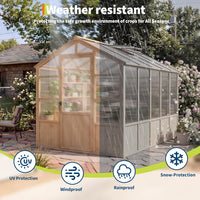 6x10 Ft Wood Frame Walk-In Greenhouse with Polycarbonate Panels — product view 6